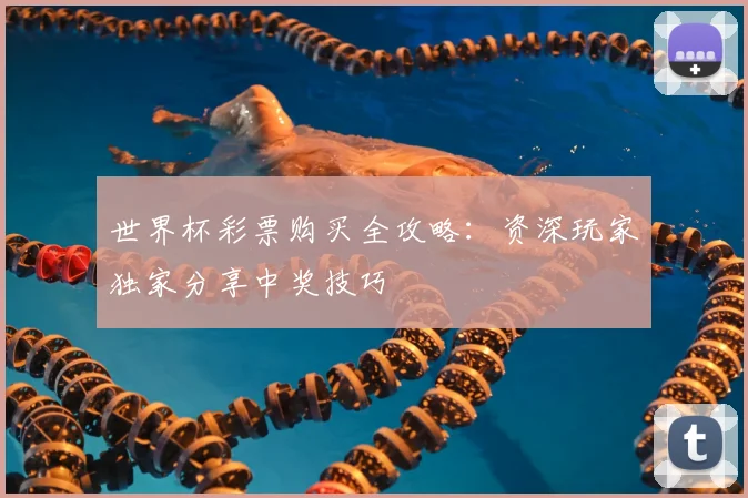 世界杯彩票购买全攻略：资深玩家独家分享中奖技巧