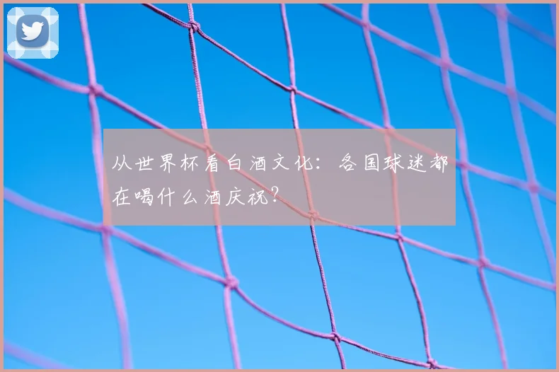 从世界杯看白酒文化:各国球迷都在喝什么酒庆祝?