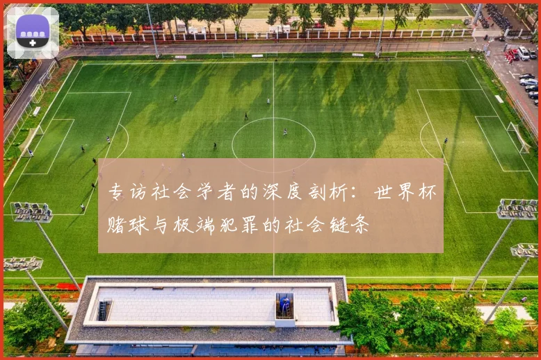 专访社会学者的深度剖析:世界杯赌球与极端犯罪的社会链条