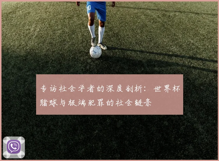 专访社会学者的深度剖析：世界杯赌球与极端犯罪的社会链条