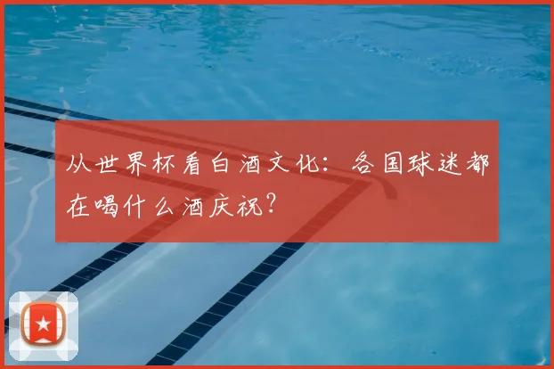 从世界杯看白酒文化:各国球迷都在喝什么酒庆祝?