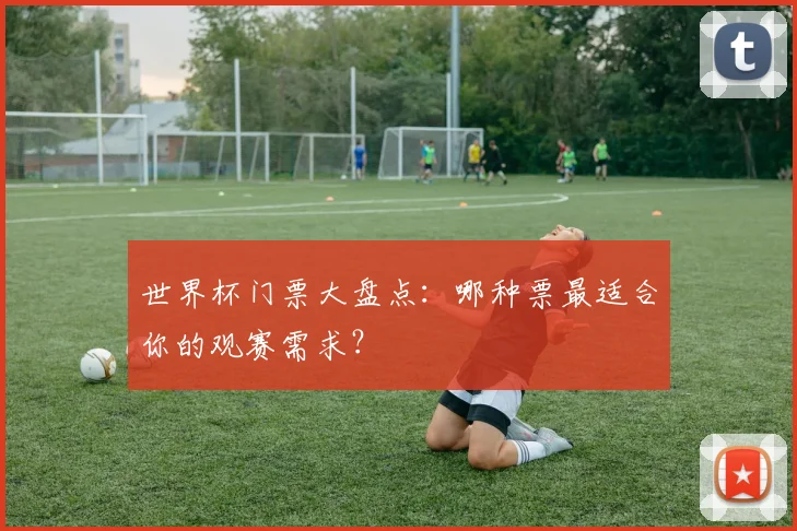 世界杯门票大盘点:哪种票最适合你的观赛需求?