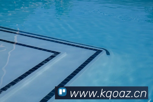 九游版官网入口发展历程